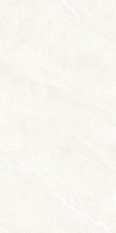 Dhara White Matte 24 x 48